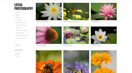 lotus photography website image 900px 150dpi