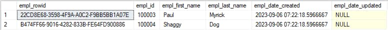 SQL server employee table query results example