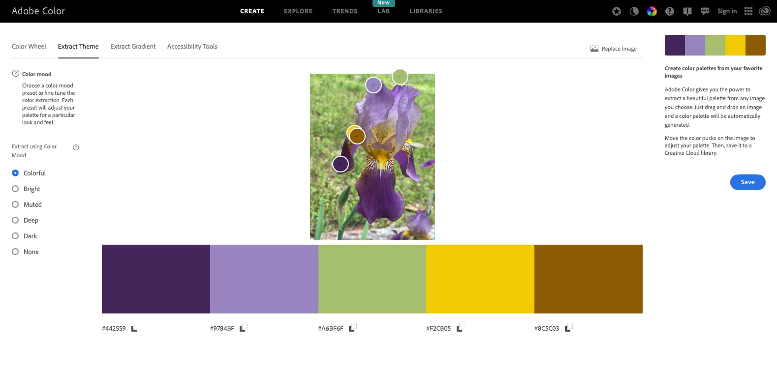 screenshot of adobe color app example