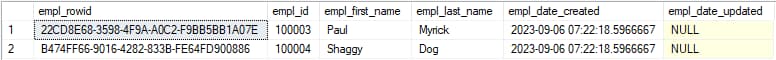 sql_server_employee_table_query_results_squoosh SQL server employee table query results example