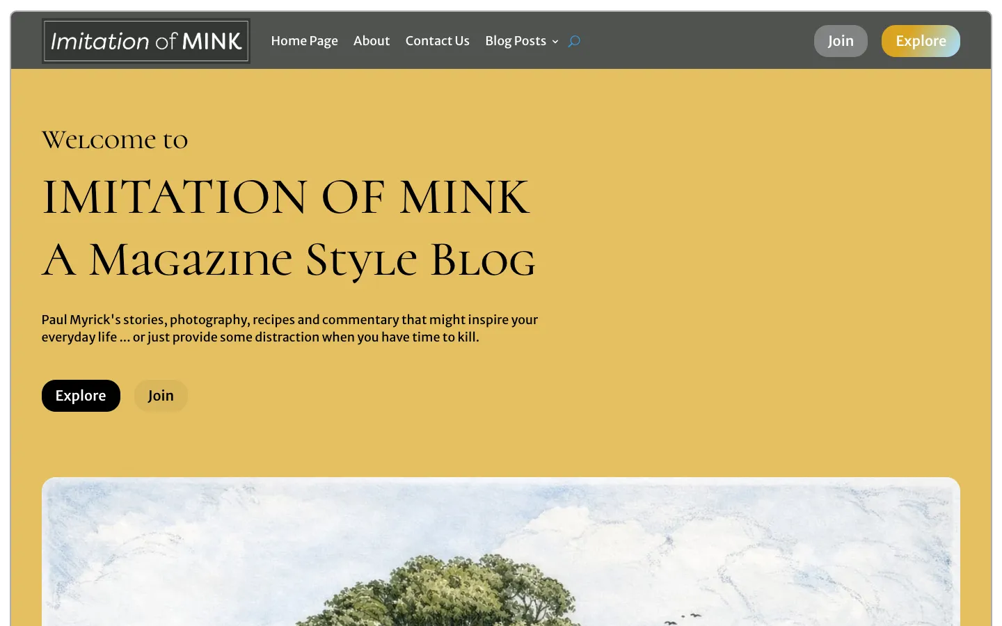 website screenshot imitationofmink.com
