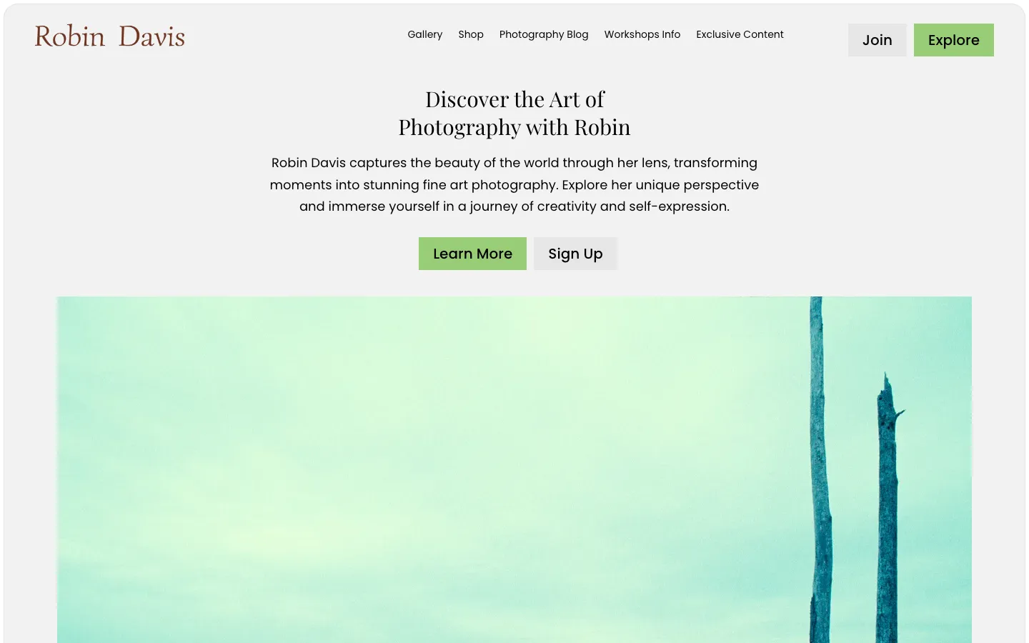 website screenshot robindavis.com